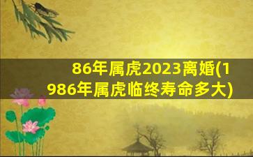 86年属虎2023离婚(1986年属虎