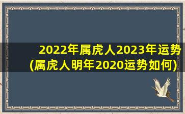 <strong>2022年属虎人2023年运势</strong>