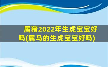 属猪2022年生虎宝宝好吗