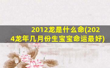 2012龙是什么命(2024龙年几