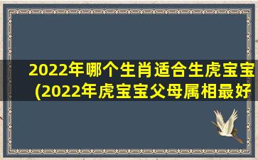 <strong>2022年哪个生肖适合生虎宝</strong>