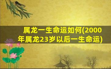 属龙一生命运如何(2000年