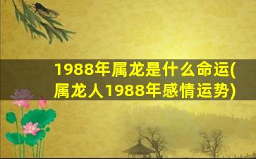 1988年属龙是什么命运(属龙