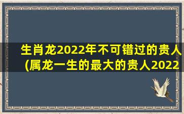 生肖龙2022年不可错过的贵人(属龙一生的最大的贵人2022)