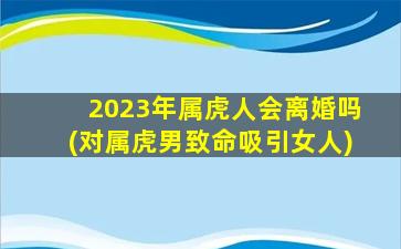 2023年属虎人会离婚吗(对