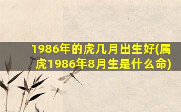 1986年的虎几月出生好(属虎1986年8月生是什么命)