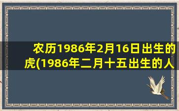 农历1986年2月16日出生的虎