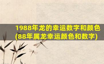 1988年龙的幸运数字和颜色