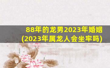 88年的龙男2023年婚姻(2