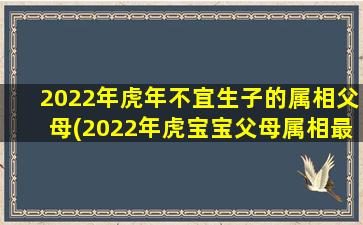 2022年虎年不宜生子的属