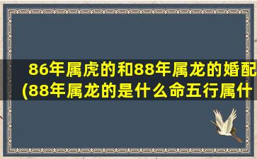 86年属虎的和88年属龙的