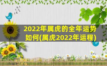 2022年属虎的全年运势如何