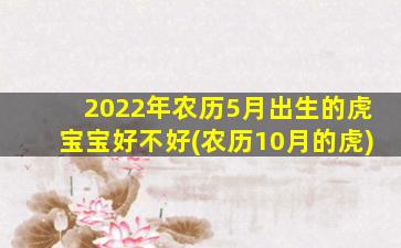 2022年农历5月出生的虎宝