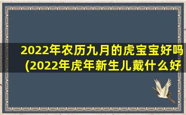 2022年农历九月的虎宝宝