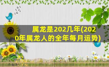 属龙是202几年(2020年属龙