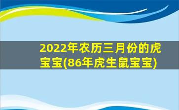 2022年农历三月份的虎宝宝(86年虎生鼠宝宝)