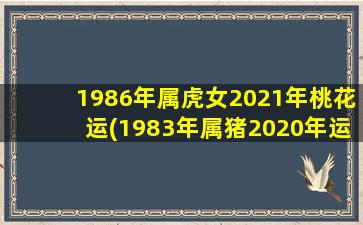 1986年属虎女2021年桃花运