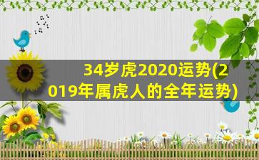 34岁虎2020运势(2019年属虎