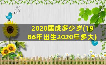 2020属虎多少岁(1986年出生