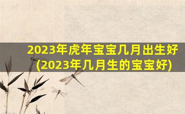 2023年虎年宝宝几月出生