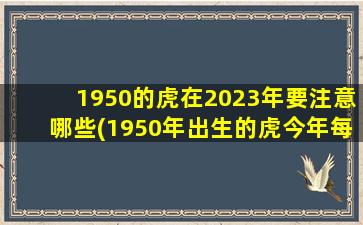 1950的虎在2023年要注意哪