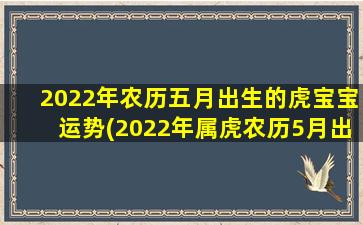 2022年农历五月出生的虎宝