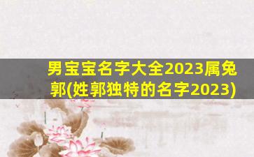 男宝宝名字大全2023属兔