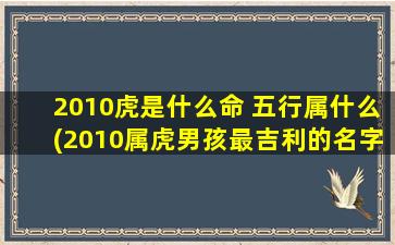 2010虎是什么命 五行属什么