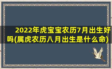 2022年虎宝宝农历7月出生