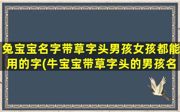 兔宝宝名字带草字头男孩女孩都能用的字(牛宝宝带草字头的男孩名字)