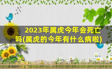 2023年属虎今年会死亡吗