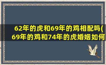 62年的虎和69年的鸡相配