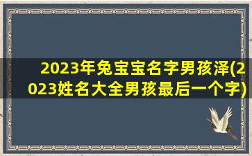 2023年兔宝宝名字男孩泽(2023姓名大全男孩最后一个字)