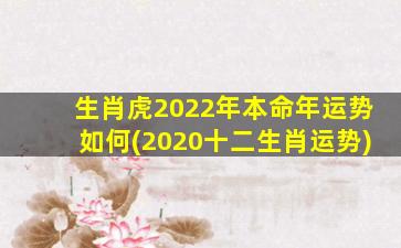 生肖虎2022年本命年运势如何(2020十二生肖运势)