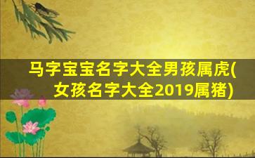 马字宝宝名字大全男孩属虎(女孩名字大全2019属猪)