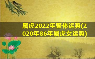 属虎2022年整体运势(202