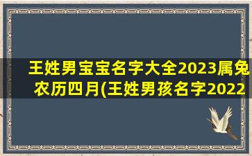 王姓男宝宝名字大全20