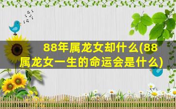 88年属龙女却什么(88属龙