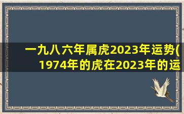 一九八六年属虎2023年运势(1974年的虎在2023年的运势怎么样)