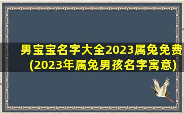 男宝宝名字大全2023属兔