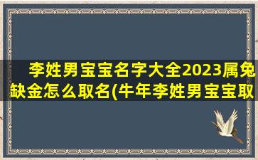 李姓男宝宝名字大全20