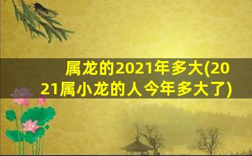 属龙的2021年多大(2021属小