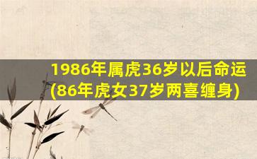 1986年属虎36岁以后命运(86年虎女37岁两喜缠身)