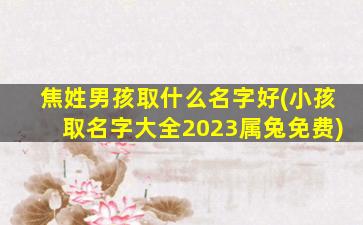 焦姓男孩取什么名字好(小孩取名字大全2023属兔免费)