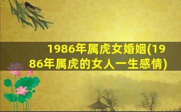 1986年属虎女婚姻(1986年属虎的女人一生感情)