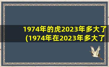 1974年的虎2023年多大了