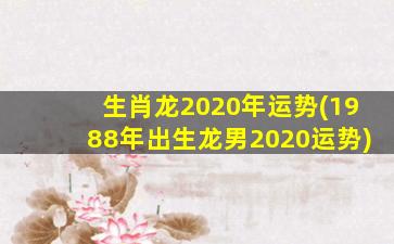 生肖龙2020年运势(1988年出