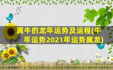 属牛的龙年运势及运程(牛年运势2021年运势属龙)