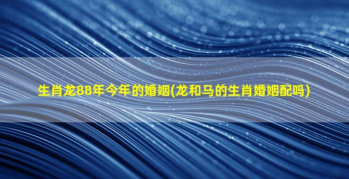 生肖龙88年今年的婚姻(龙和马的生肖婚姻配吗)