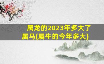 属龙的2023年多大了属马